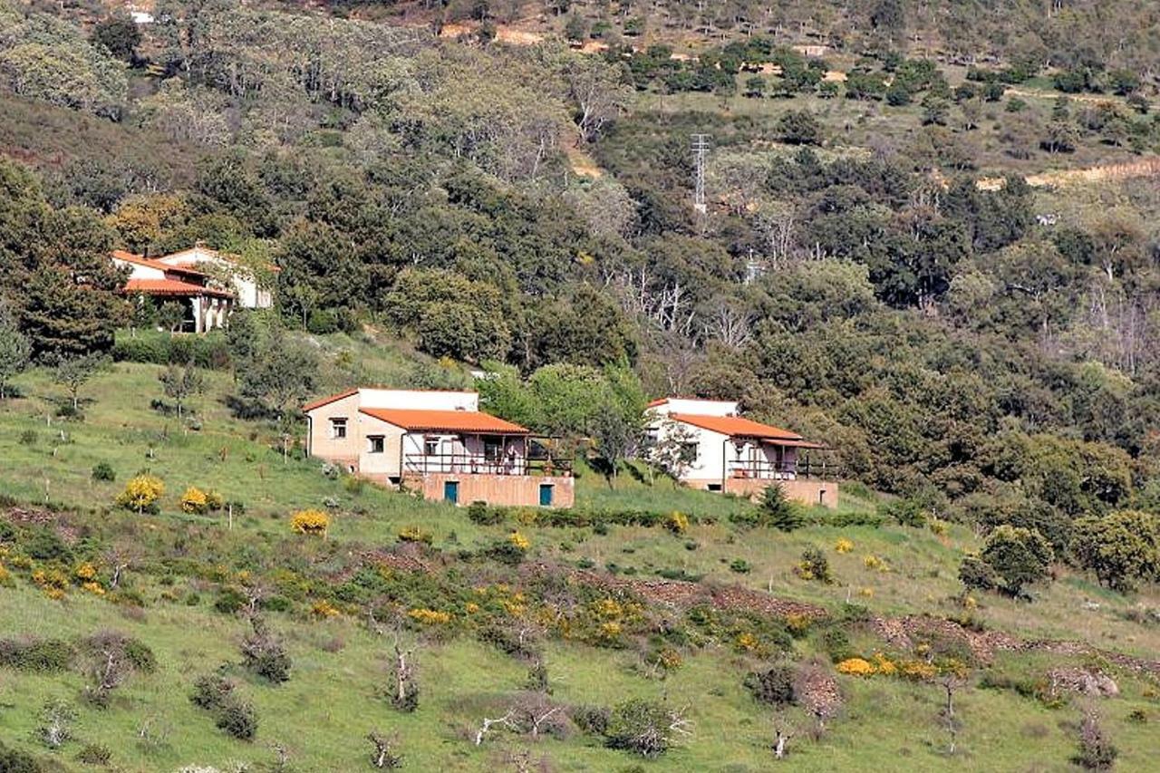 Ferienwohnung Cielo Abierto Berzocana Exterior foto